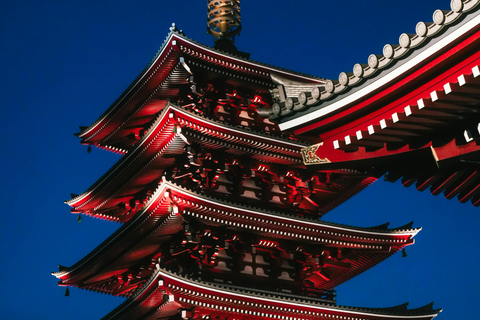 Tokyo Private Tour by Car/Van with English Speaking Driver Tokyo Private Tour by Car/Van with English Speaking Driver