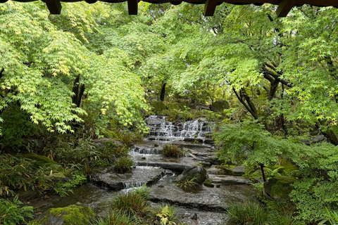Osaka: Himeji Castle and Kobe Private Guided Day Trip