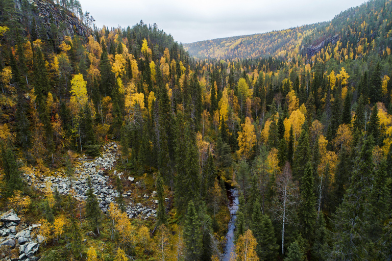 Lapland Day Tour: From Best Attractions to Midnight Sun