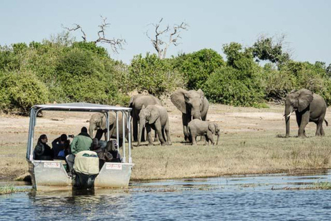 Excursión de un día a Chobe - Parque Nacional de Chobe Botsuana