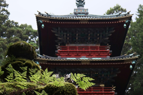 L&#039;avventura d&#039;élite di Nikko: Tour guidato privato