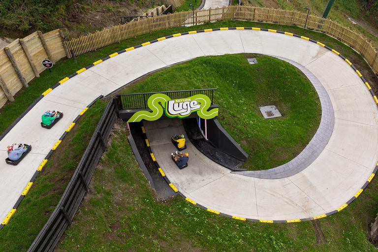 From Auckland: Rotorua Day Trip with Te Puia & Luge Rides