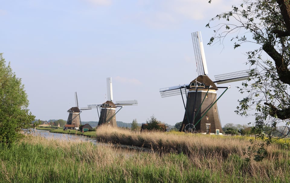 Delft és Volendam: sajt, facipő és szélmalmok (kis csoport)