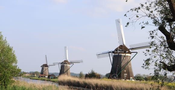Delft und Volendam: Käse, Holzschuhe und Windmühlen (kleine Gruppe)