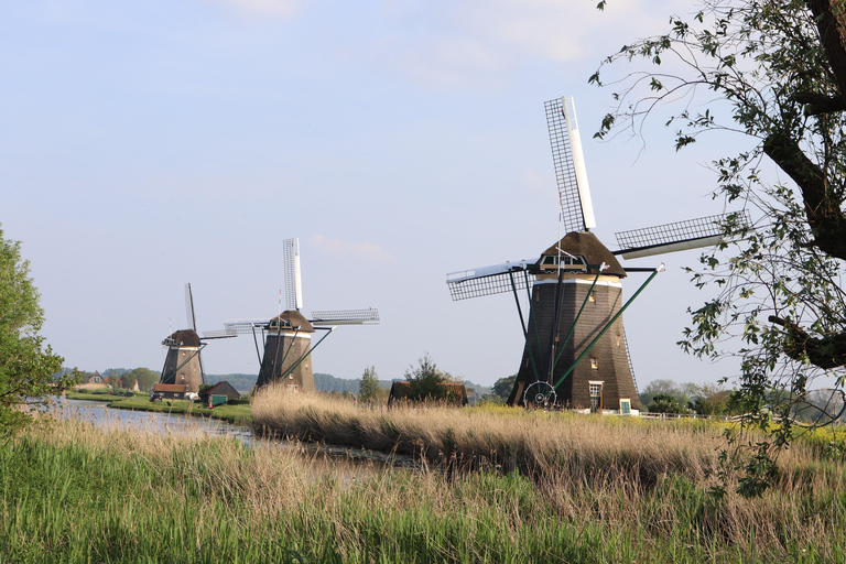 Delft et Volendam : Fromage, sabots et moulins à vent (petit groupe)