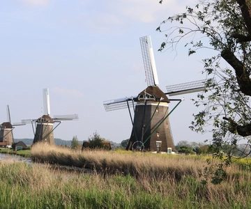 Delft y Volendam: queso, zuecos y molinos de viento (grupo reducido)