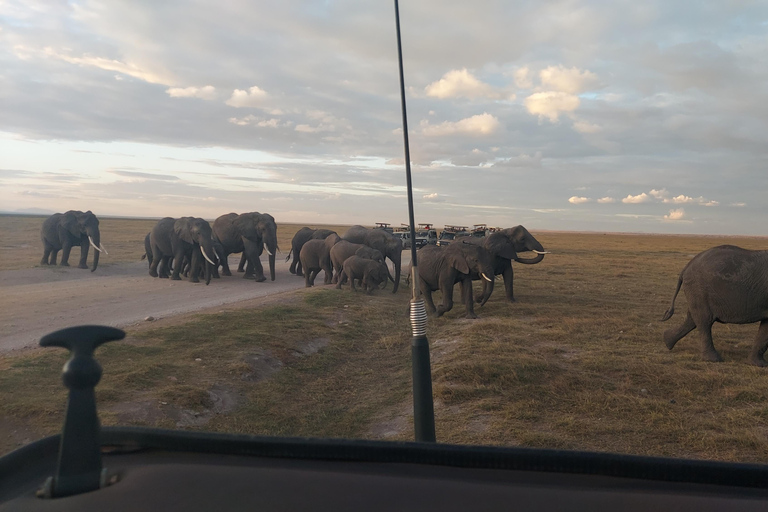 Red Elephants & Kilimanjaro Views: 3-day Tsavo East/Amboseli