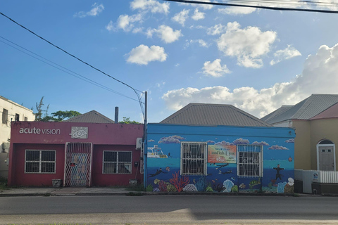 Bay Street- Unapologetically Bajan A Tour