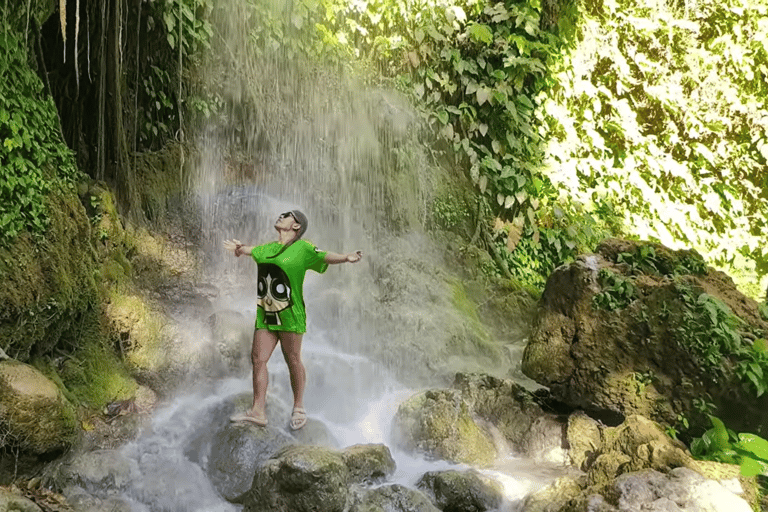 Cebu : excursion d&#039;une journée à Inambakan, Kawasan et aux chutes de Mantayupan