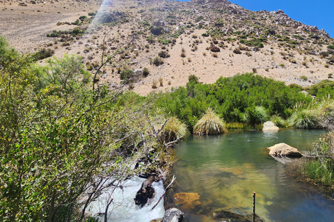 Horseback riding in the Cochiguaz River Sanctuary in the Elqui Valley.
