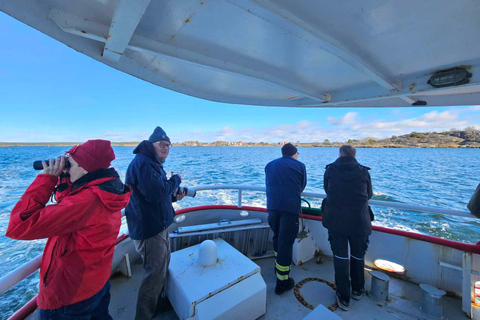 Desde Estocolmo: Excursión por el archipiélago hasta el faro de LandsortDesde Estocolmo: Faro de Landsort y excursión a una isla remota