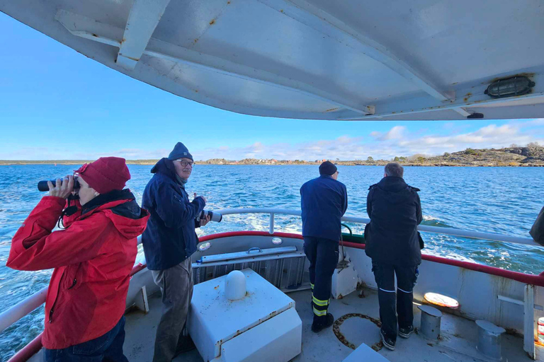 Desde Estocolmo: Excursión por el archipiélago hasta el faro de LandsortDesde Estocolmo: Faro de Landsort y excursión a una isla remota