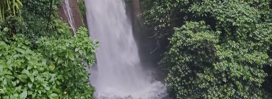 Depuis Jakarta : Jardin botanique de Bogor, Ricefield et cascade