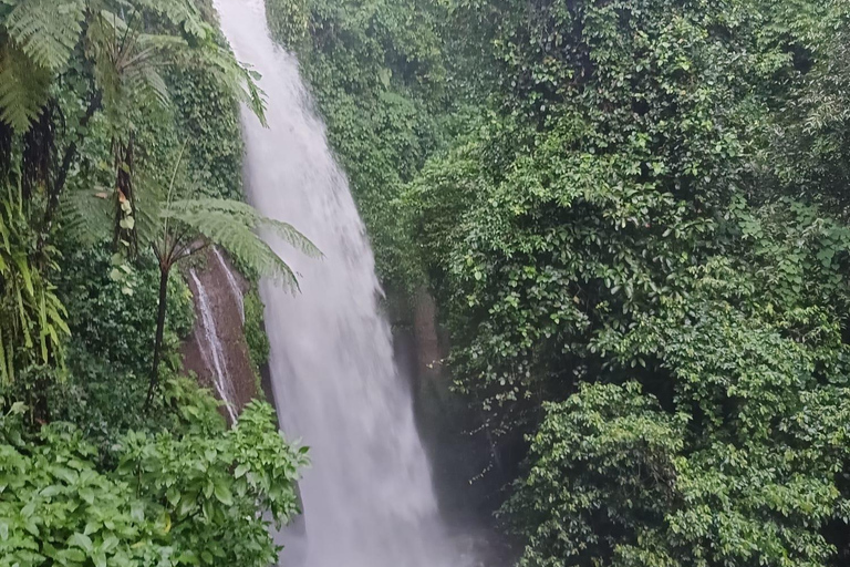 Jakarta Bogor Botanischer Garten, Reisterrasse und Wasserfall