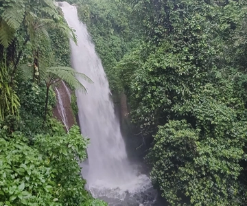 Jakarta Bogor Botanical Garden, Waterfall and Rice Terrace