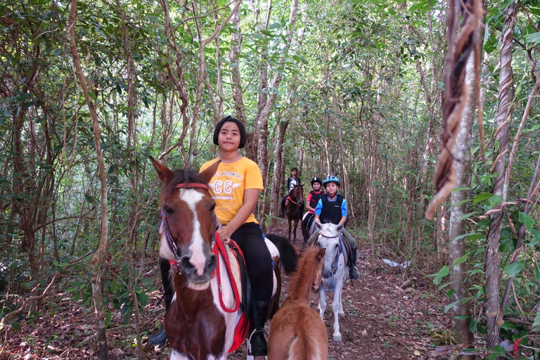 Phuket Jungle Horseback Ride with Scenic Forest Views Adventure Trail (2 Hrs)