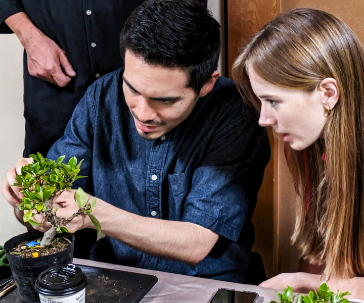 Bonsai & Sencha Tea Experience: Pastime of the Literati