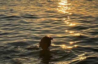 Palermo: 3-stündige gemeinsame und/oder private Tour bei Sonnenuntergang mit Aperitif