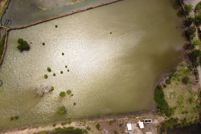 Bagek Kembar: Mangrove & Stingless Beekeeping Experience