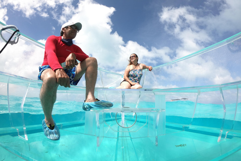 Cancun: ClearBoat Tour of the Caribbean Sea