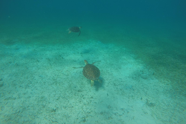 Fajardo : demi-journée de bateau privé à Icacos ou Palomino