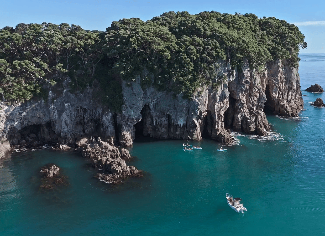 Whangamata: Guidet kajakoplevelse på Donut Island