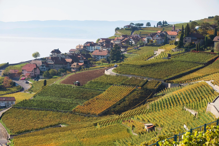 UNESCO Lavaux — Vineyards & Food Tasting — Private Van from Montreux