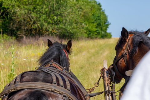 Zakopane: Horse-Drawn Rides with Local Guide &amp; Food TastingSummer: Horse-Drawn Carriage