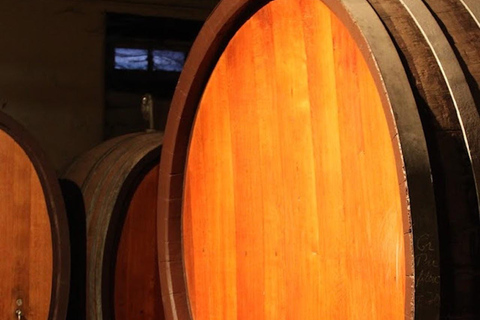 Wettolsheim: Organic Wine Tasting and Cellar Visit