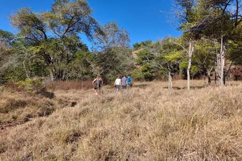 Labuan Bajo:3-Day Private Komodo National Park Eco Boat Tour
