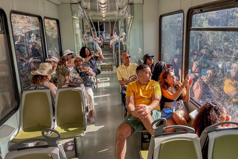 Barcelona: Montserrat, Black Madonna, Rack Railway & Liquors Transfer to Montserrat Monastery & Ticket to the Basilica