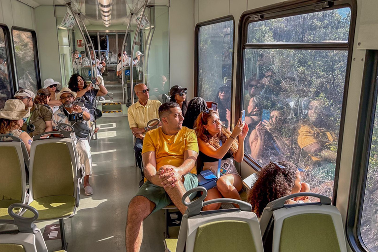 Barcelona: Montserrat, Black Madonna, Rack Railway & Liquors Transfer to Montserrat Monastery & Ticket to the Basilica