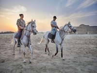Hurghada , due ore di sole & mare Equitazione con trasferimenti - Hizvo