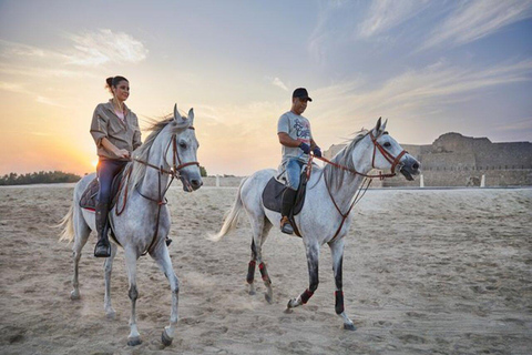 Hurghada: Tour a cavallo nel deserto e nel mare con trasferimento