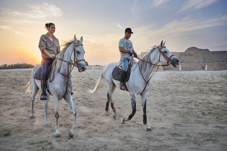 Hurghada: dwugodzinna jazda konna w słońcu i morzu z transferem