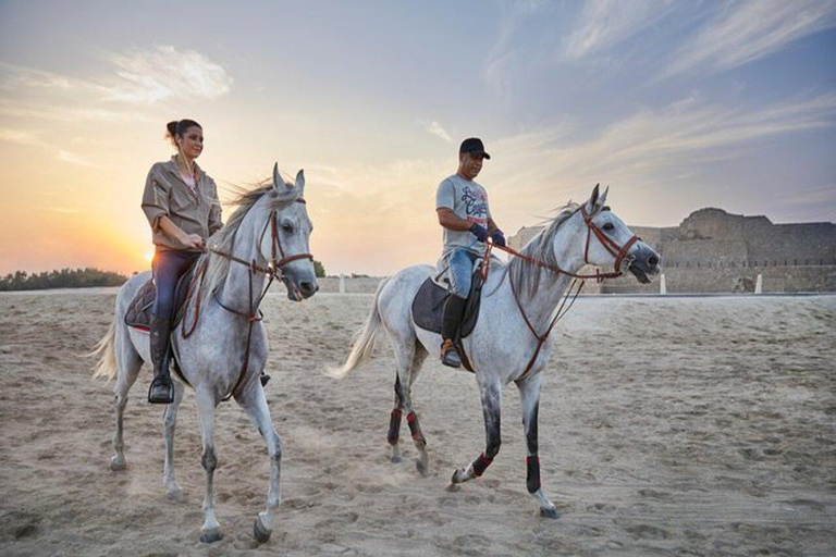 Hurghada: Desert and Sea Horseback Riding Tour with Transfer