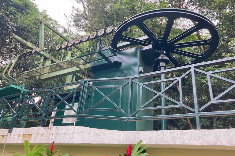 Panama : Buffet, tramway aérien, excursion en bateau à Gatun, sanctuaire des paresseuxPanama : Tram aérien, tour en bateau à Gatun et sanctuaire des paresseux