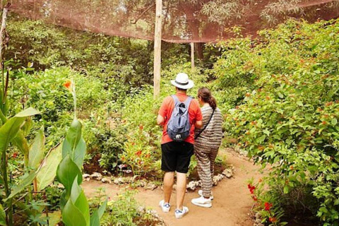 Zanzibar: Floresta de Jozani, centro de borboletas e praia de MtendeTour particular com traslado de ida e volta no hotel incluído