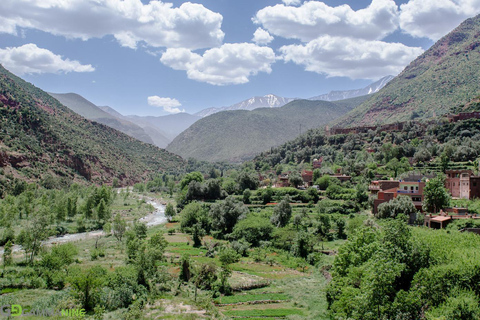 Agadir: 4x4 Atlas Mountains Berber Villages & Valley Trip