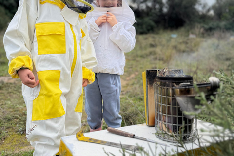 Kalamata: Beekeeping Experience with Honey Tasting