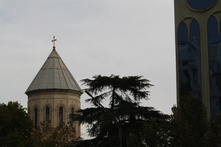 Tbilisi: Tour door protesten en revolutiesPrivé-ervaring
