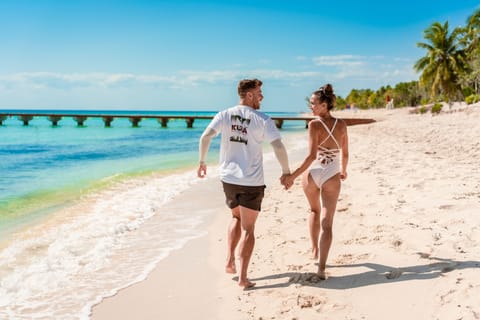 From Cancun: Cozumel Beach & Adventure Park Day Trip