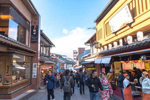 A Thousand Years in One Day: Kyoto & Nara Panoramic Tour Depart from Kyoto