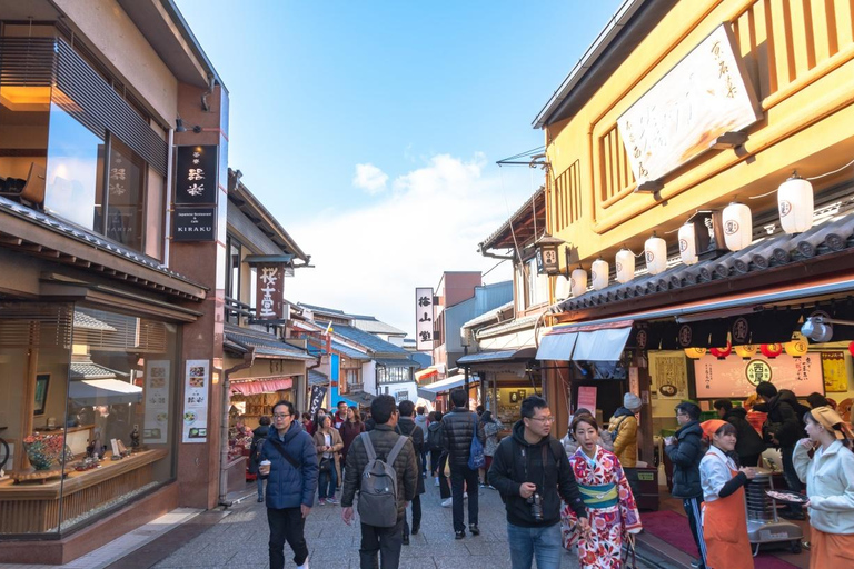 A Thousand Years in One Day: Kyoto & Nara Panoramic Tour Depart from Kyoto