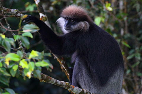 From Riu Hotel: Udawalawe National Park Private Day Trip From Riu Hotel & Nearby: All Inclusive Option