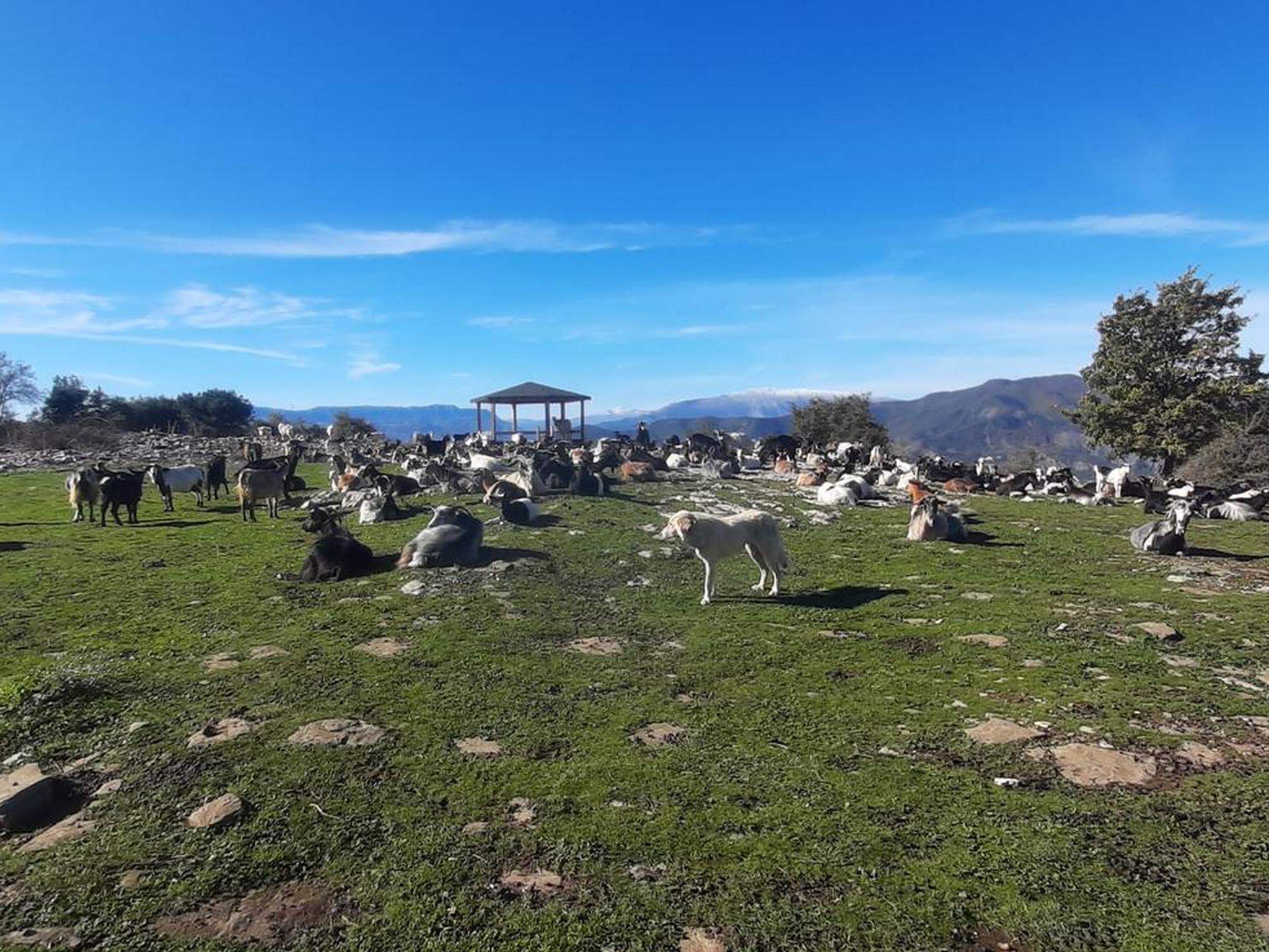 Wandertour im Nationalpark Hotova mit Waldquellen