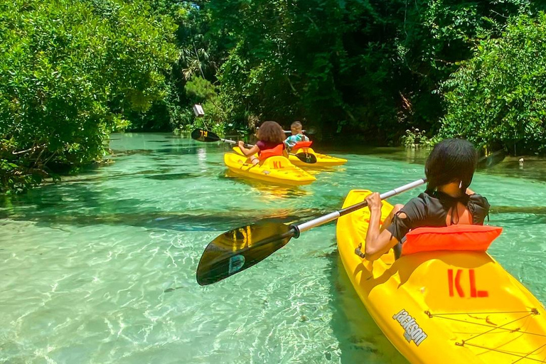 Florida: Emerald Cut Kayak Adventure Emerald Cut Kayak Adventure - Single Kayak