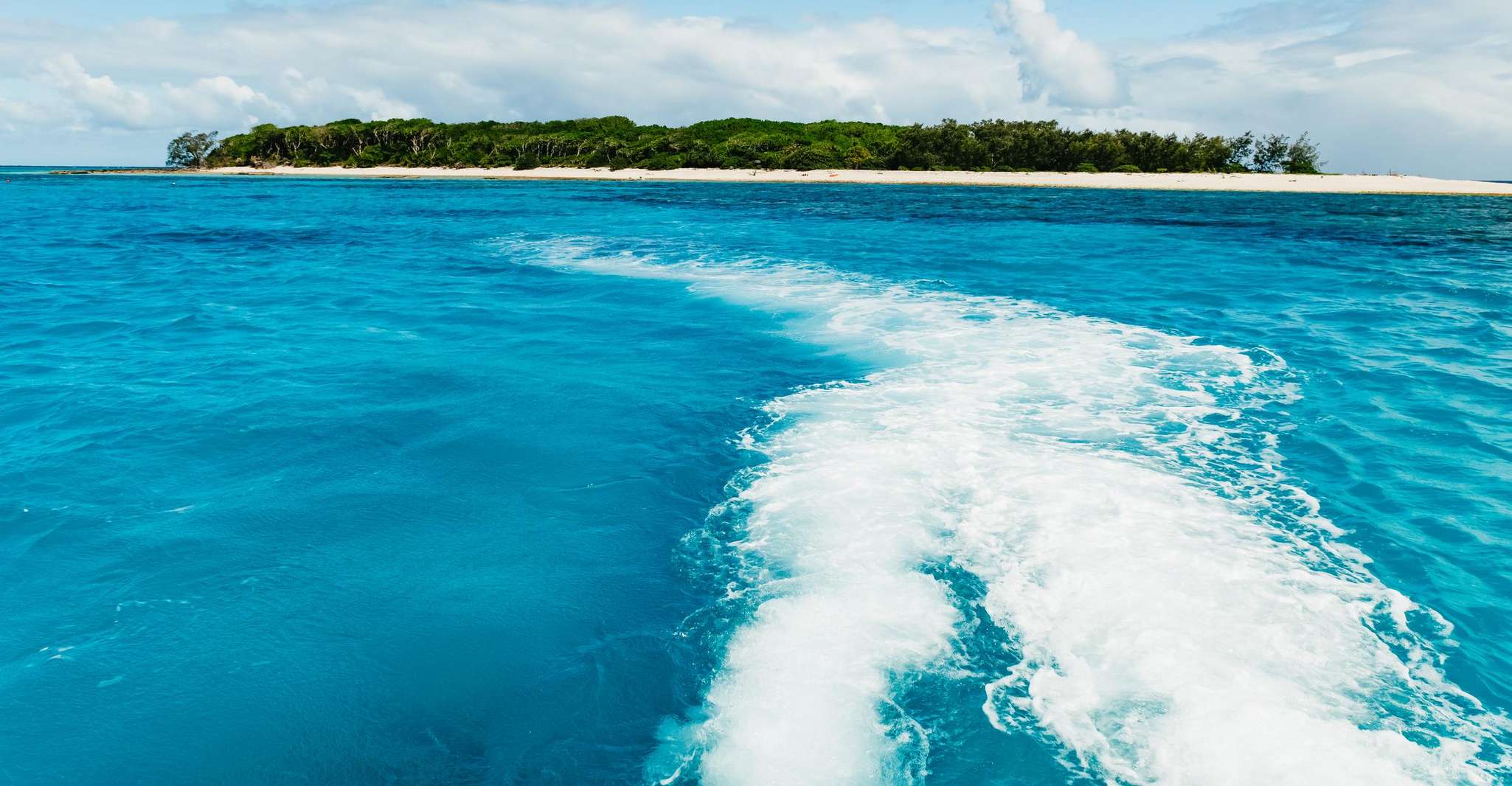 Bundaberg: Lady Musgrave Island and Great Barrier Reef Tour photo 15