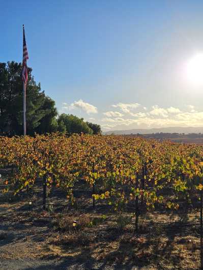 Paso Robles Full-Day Winery Tour with Picnic