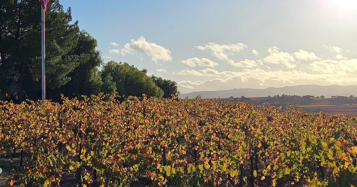 Paso Robles dagsutflykt till vingårdar med picknick GetYourGuide